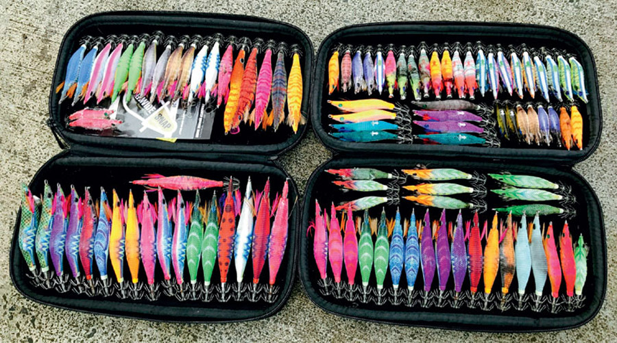 Squid How to catch them The Fishing site